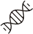 体育赛事体验活动